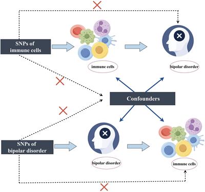 Causal role of immune cells in bipolar disorder: a Mendelian randomization study